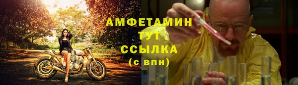 тгк Гусев