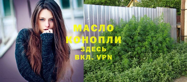 тгк Гусев