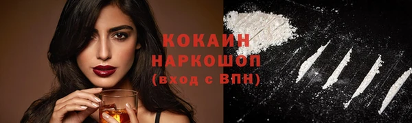 PSILOCYBIN Гусь-Хрустальный