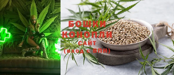 тгк Гусев