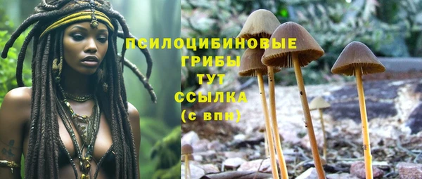 PSILOCYBIN Гусь-Хрустальный