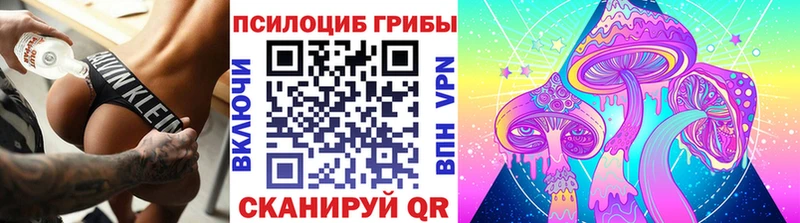 наркота  Иланский  Псилоцибиновые грибы MAGIC MUSHROOMS 